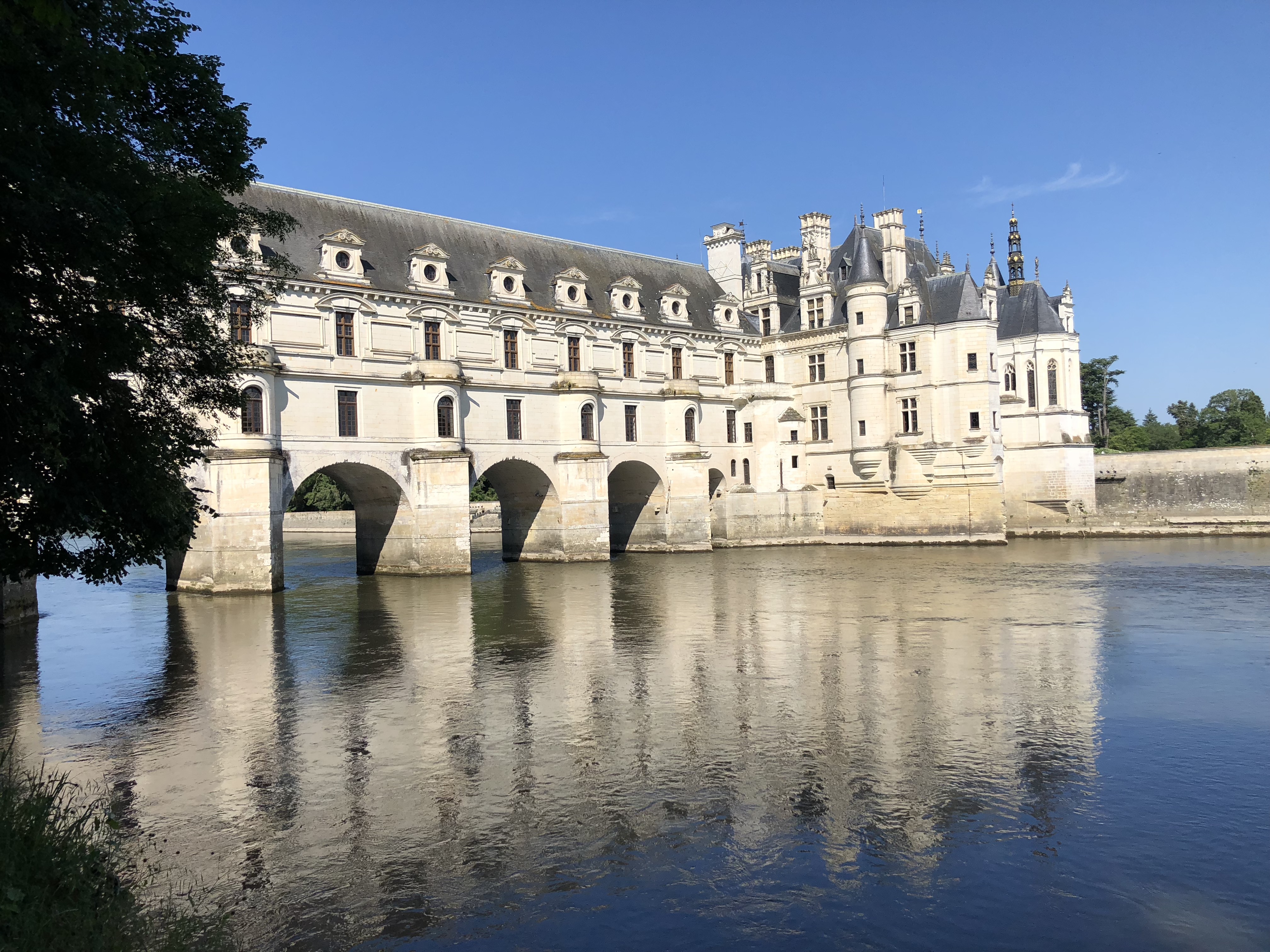 45su4YrYS8CK7OFV2WWgIA